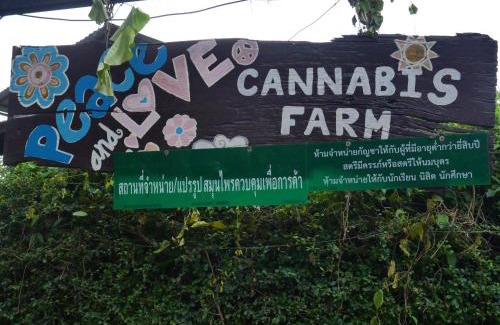 Chiang Rai House | Muangkham Peaceandlove Farm