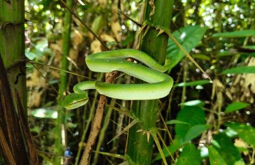 Mulu House | Mulu Village