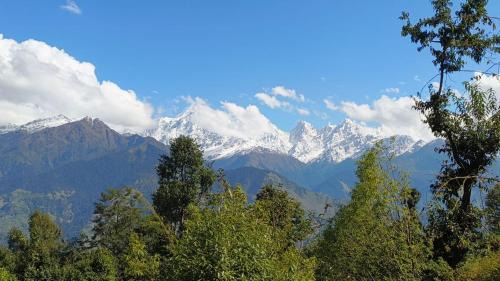 Munsyari House | Munsyari camping zone & tracking snow hill