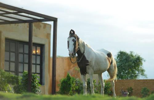 Kasrawad Villa | Mura Yoga Villa