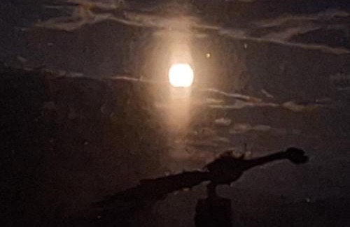 Losie Villa | Murowaniec