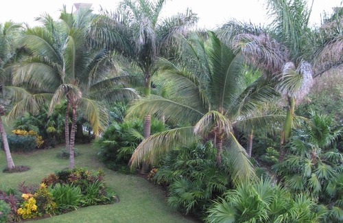 Villa Juarez Condo | 2BR Grand Mayan - Legendary Vidanta Luxury! HOLIDAY DATES AVAILABLE!