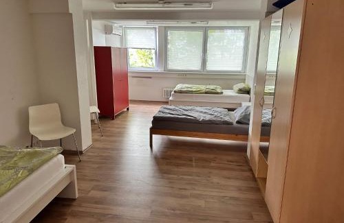 Neckarsulm Apartment | My-Skypalace Neckarsulm