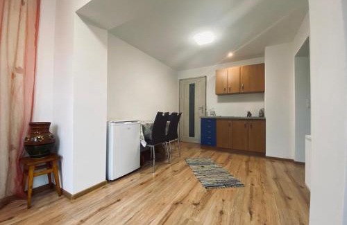 Raba Wyzna Apartment | Na Łachówce