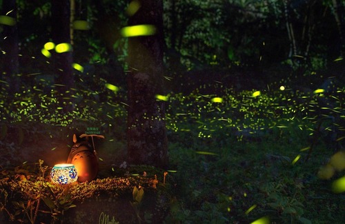 Nanzhuang Bed & Breakfast | Nanyang62