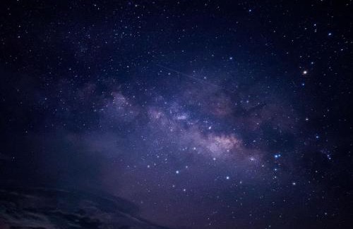 Phrao House | Napahong Treehouse นาป่าฮง