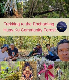 Phrao House | Napahong Treehouse นาป่าฮง Andromeda & Cassiopeia