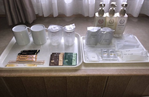 Narita Hotel | Narita U-City Hotel