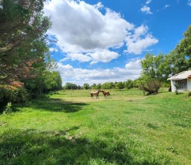 Tunuyan House | Naturaleza & confort en Tunuyan, Mendoza