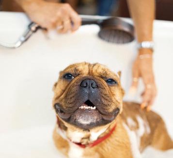 Campbell River Hotel | Naturally Pacific Resort