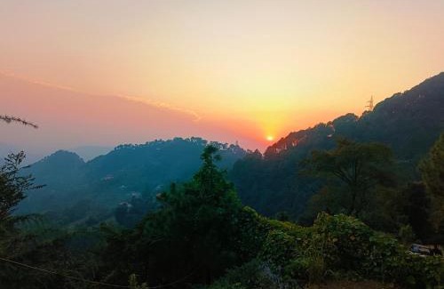 Shimla House | Nature Sanctuary Stay