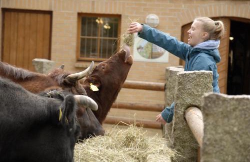 Sudstadt Apartment | Naturschutz-Tierpark Görlitz Ferienwohnung Pandahöhle