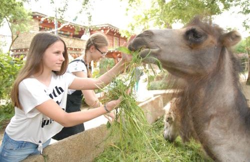 Sudstadt Apartment | Naturschutz-Tierpark Görlitz Ferienwohnung Pandahöhle