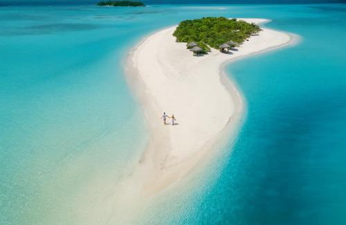 Kamadhoo Hotel | Nest by Hawks Hotels Kamadhoo Baa Atoll