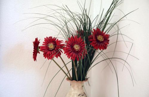 Oberdrauburg Apartment | Neu renoviertes, behagliches Haus