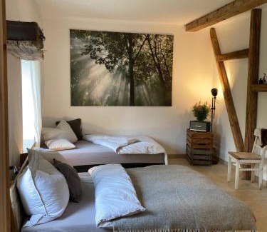 Rotha House | NEUES GESINDEHAUS (Rittergut Oelzschau b. Leipzig)