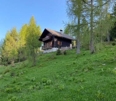 Zedlitzdorf House | Neuwirth Hütte