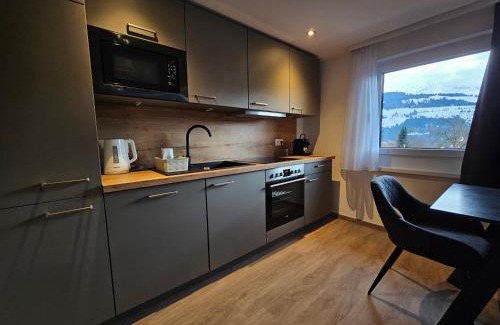 Assachberg Apartment | New, cozy retreat, 300 m to ski bus in Schladming Region