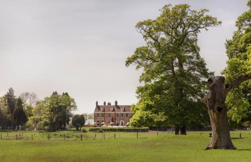 New Forest District Hotel | New Park Manor Hotel