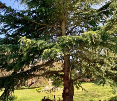 West Melton Bed & Breakfast | Newlands Bed and Breakfast