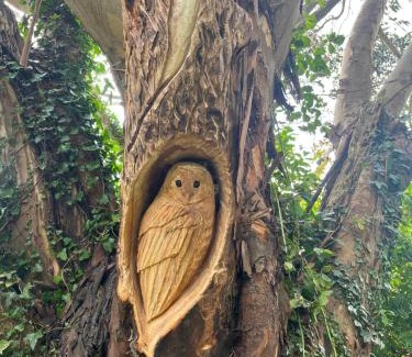 Midleton House | Next door at Broomfield House