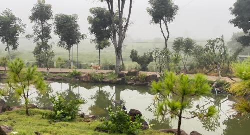 Chau Duc Apartment | Nhà Bên Đồi - The Hill House Villa