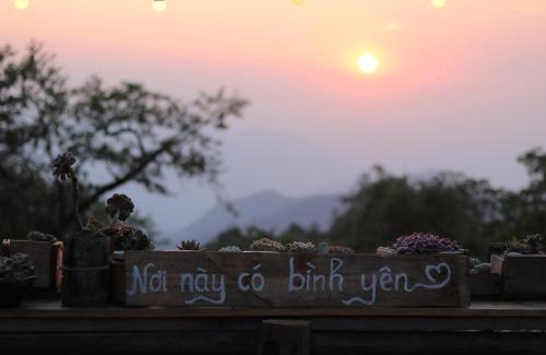 Phong Tho Apartment | Nhà Tổ Chim