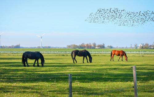Groß Olversum House | Nice Home In Tönning With Kitchen