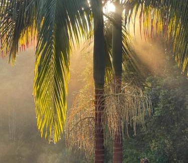 Whian Whian Cabin | Nightcap Ridge - Byron Bay Hinterland