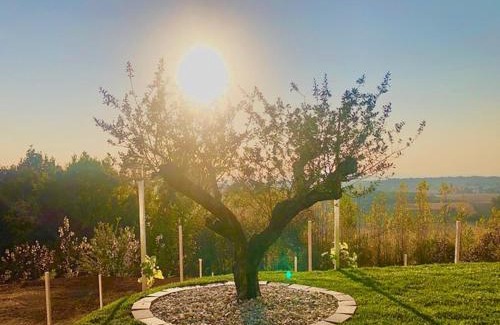 Sankt Veit in der Sudsteiermark Ski Chalet | Nikolaier Weinblick - Chalet Sauvignon Blanc