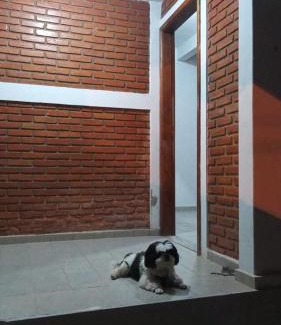 Jardim Paraiso House | NinhoFeliz