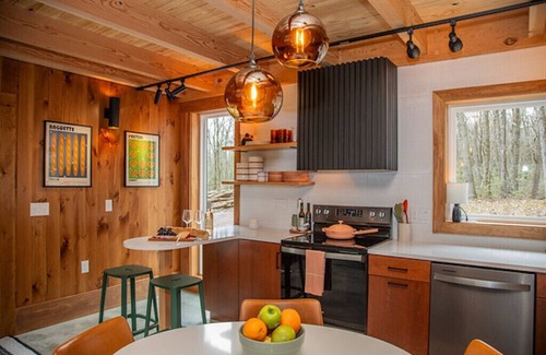 Jim Thorpe Cabin | Noir Haus - NEW! Custom luxury cabin 2 acres w pool table fire pit hot tub