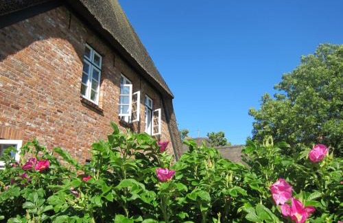 Wrixum Apartment | Nordseekrabbe 12 Herrenhof