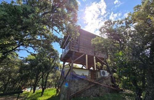 Retuerta del Bullaque Other | Nuevo Ecolodge Cabañeros