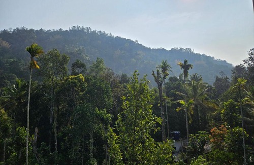 Kunchithanny House | Nutmeg shades Munnar