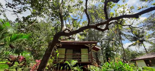 Kirlapal - Dabal VP House | NV Ecofarm