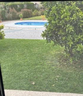 Tomino House | O Eido da Otilia