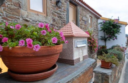 Proenca-a-Nova House | O Palheiro - Vista Panorâmica e Jacuzzi