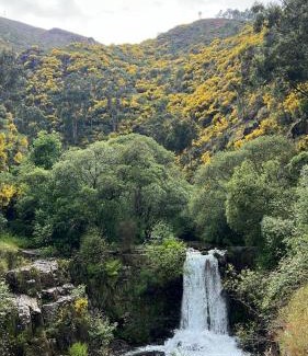 Arouca Apartment | O refugio do Mineiro