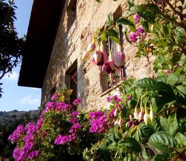 Canelinas House | O Rincón de David