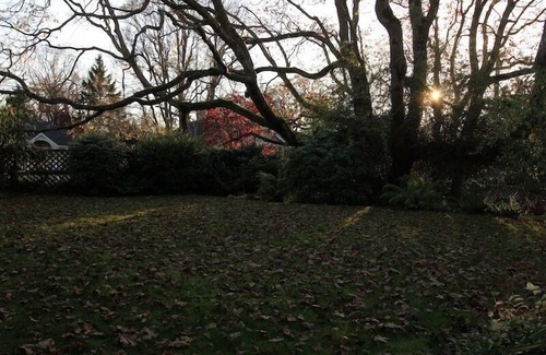 Gonzales House | Oak Bay House