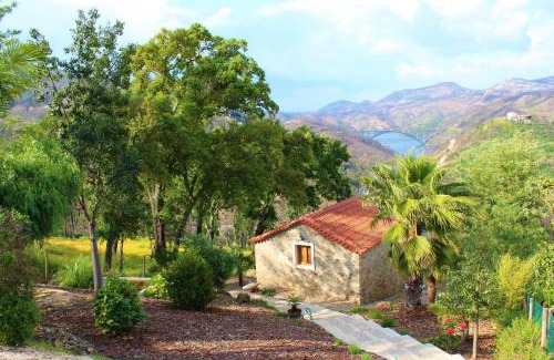 Ferreira do Zezere House | Oak Cottage