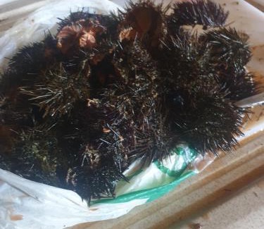 Ilbono Hotel | Oasi del benessere