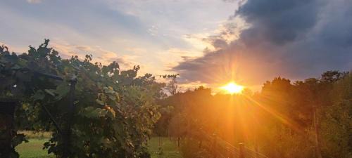 Municipality of Krizevci House | Oaza mira Kris