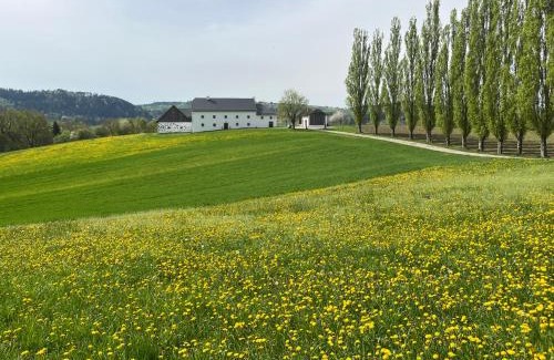 Pregarten House | Obstgartl - Ferienhaus Mühlviertler Hügelland