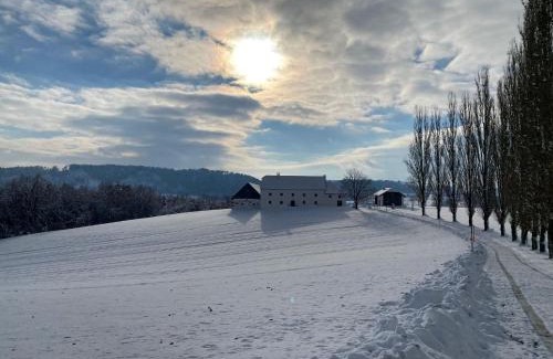 Pregarten House | Obstgartl - Ferienhaus Mühlviertler Hügelland