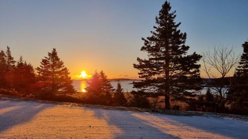 Port Dufferin Apartment | Oceanfront Apartments