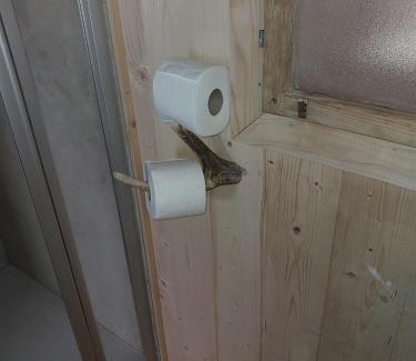 Gemeinde Wielfresen House | Ochsenwaldhütte