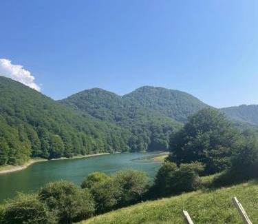 Donamaria Villa | Olabidea Txikia 3 hab