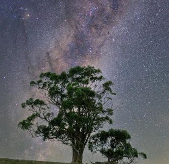 Hindmarsh Valley Cabin | Old Coach Road Estate